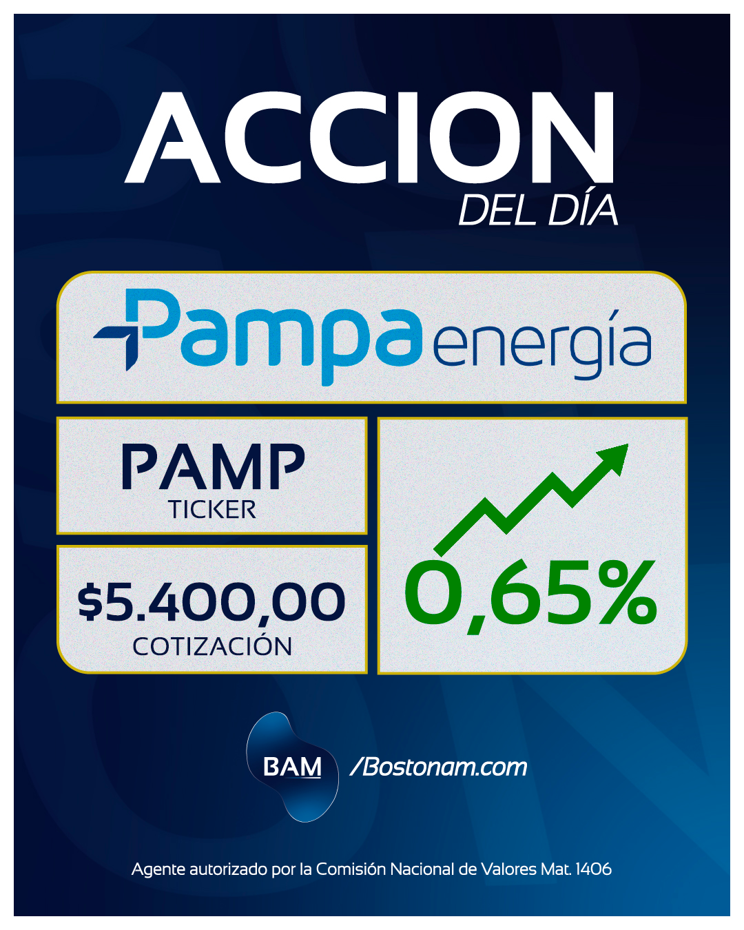 CEDEAR PAMP - Análisis