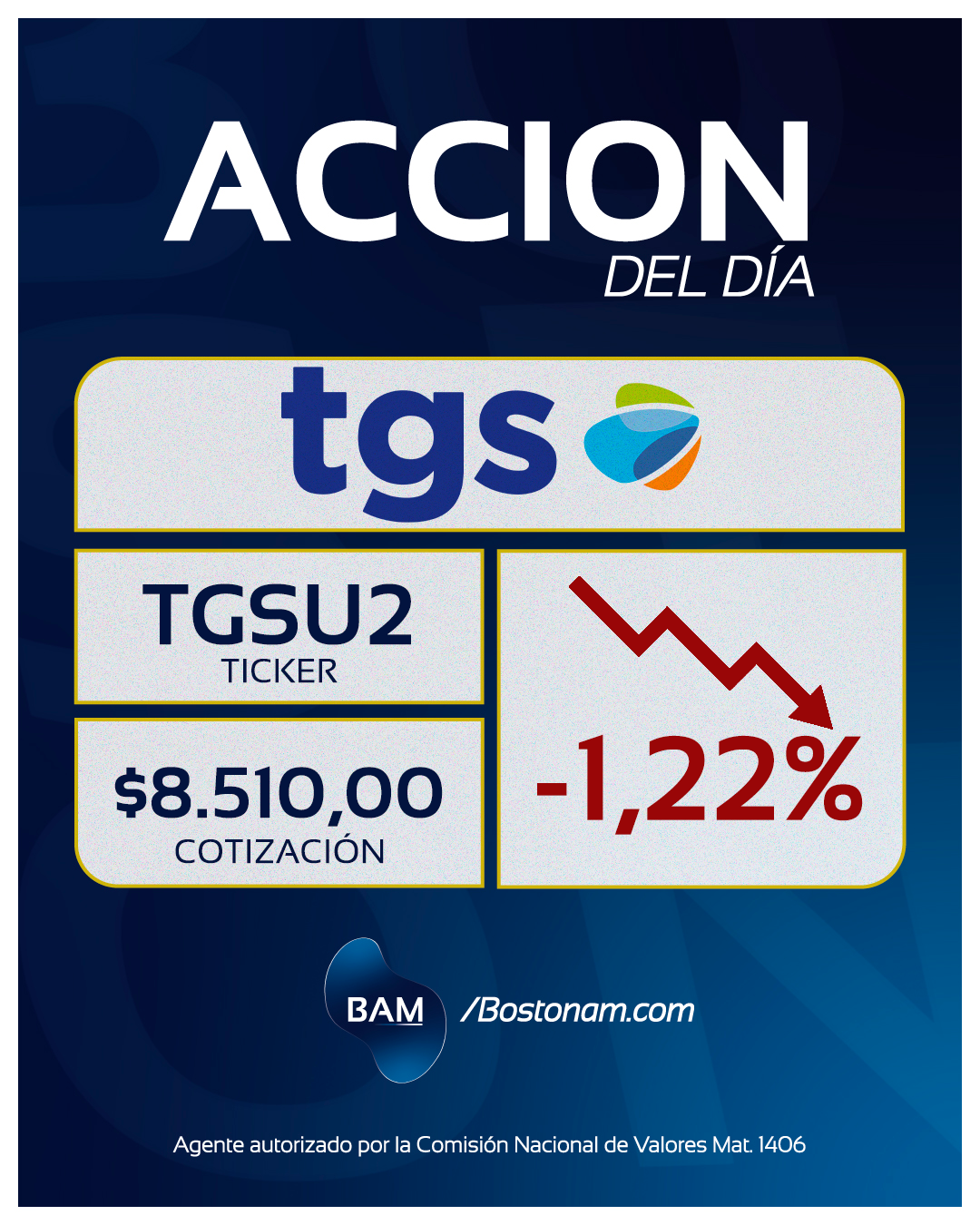 CEDEAR TGSU2 - Análisis